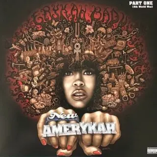 Erykah Badu – New Amerykah: Part One (4th World War) (2LP, Album, Reissue, Purple Vinyl)