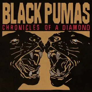 Black Pumas – Chronicles Of A Diamond (Stereo, Clear Vinyl)