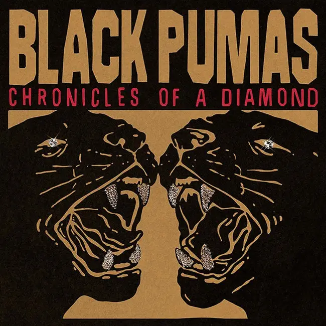 Black Pumas – Chronicles Of A Diamond (Stereo, Clear Vinyl)