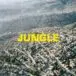 The Blaze – Jungle (Vinyl) - фото №1