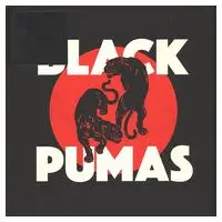 Black Pumas – Black Pumas (LP, Album, Vinyl)