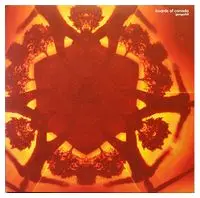 Boards Of Canada – Geogaddi (Single Sided, Etched)