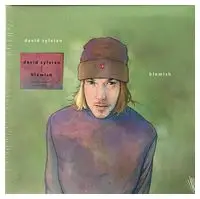 David Sylvian – Blemish (Vinyl)