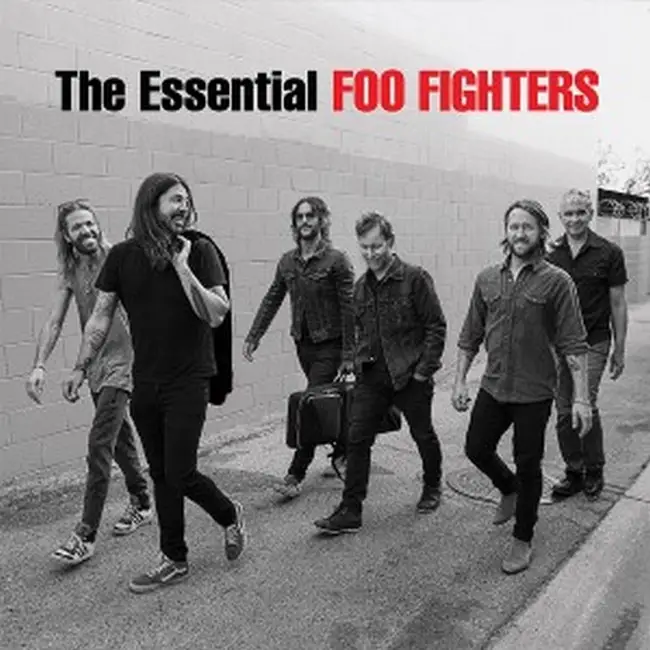 Foo Fighters – The Essential (2LP, Compilation, Vinyl)