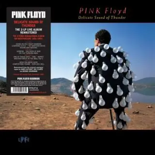 Pink Floyd – Delicate Sound Of Thunder (2LP, Album, 180 Gram, Vinyl)